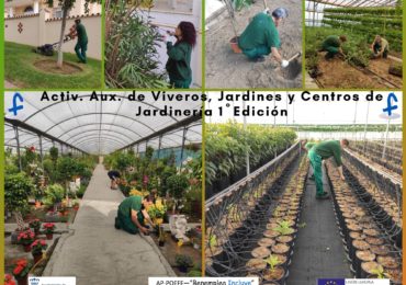 Logrando en esta ocasión una inserción laboral del 56%