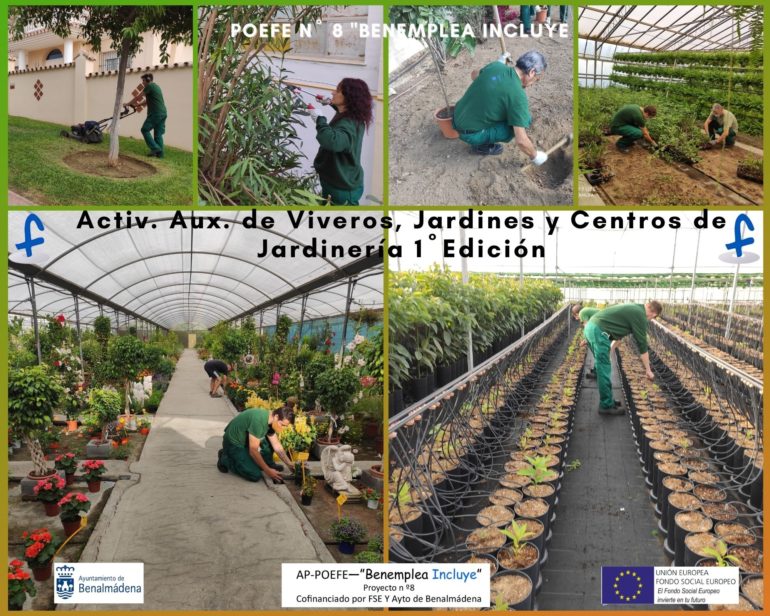 Logrando en esta ocasión una inserción laboral del 56%