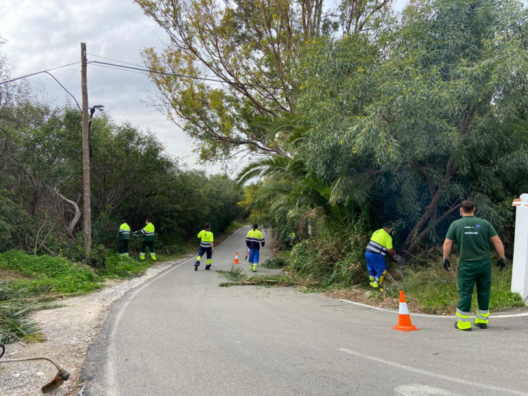 Dichos trabajos han sido realizados de forma diaria por nueve operarios