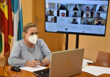 Mesa de Turismo telemática -1