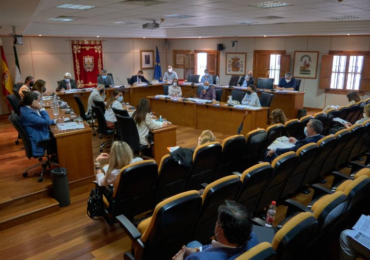 pleno mayo