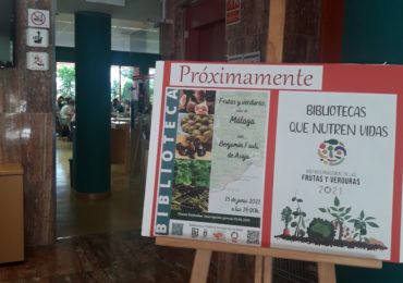 ACTIVIDAD BIBLIOTECA