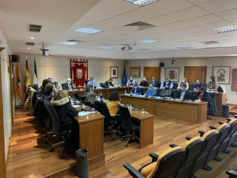 pleno 1