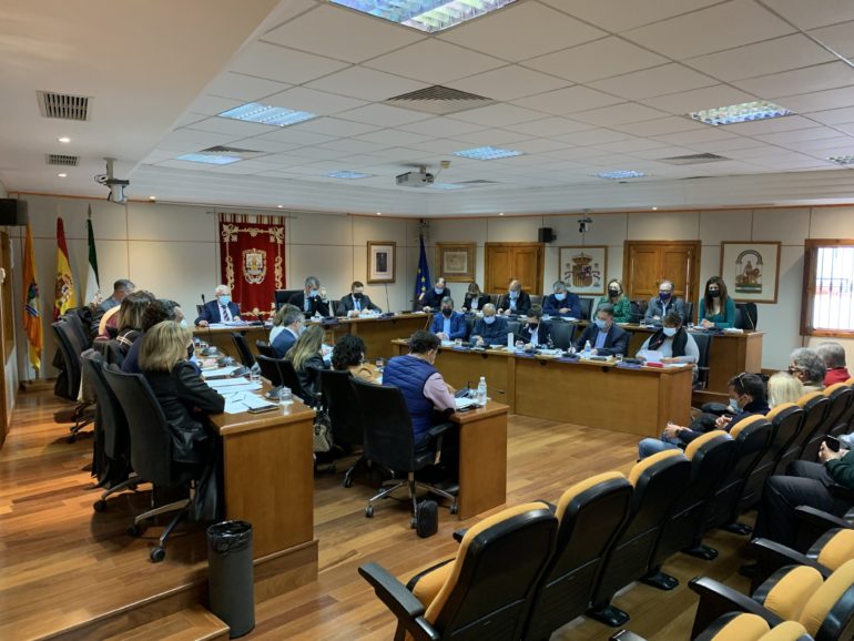 pleno 1
