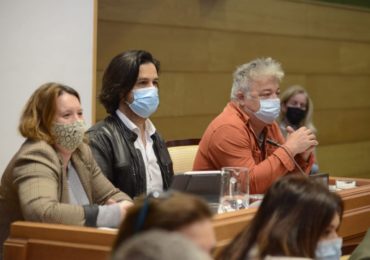 pleno-grupo-municipal-UP