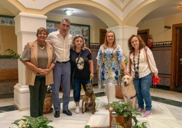 Perros en Ayto
