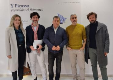 pICASSO