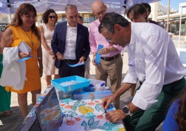 WhatsApp Image 2023-08-01 at 17.27.35