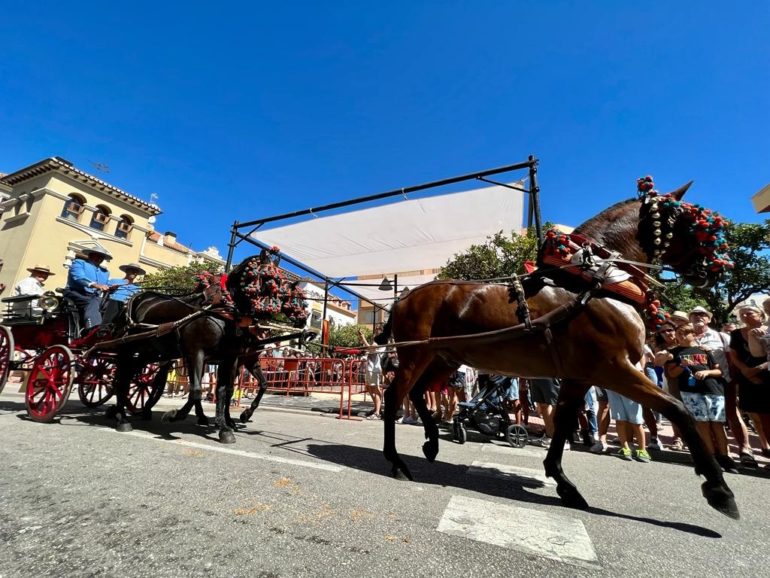 Imagen de la Exhibición de Enganches del pasado año