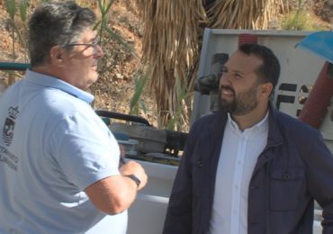 Servicios Operativos