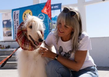 Animales 2024