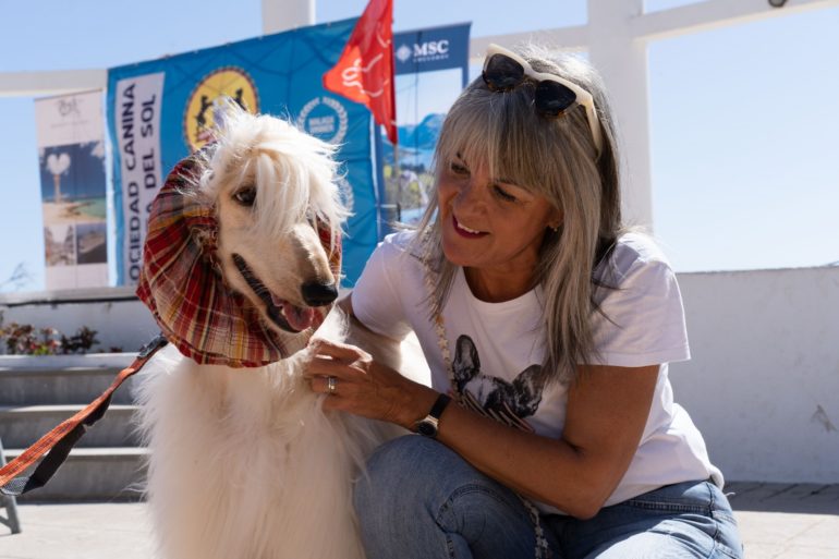 Animales 2024