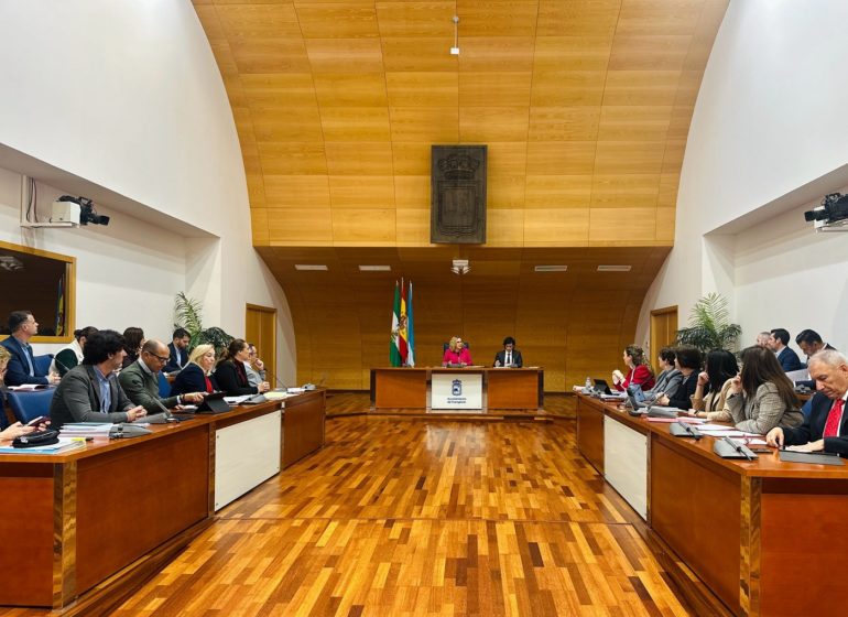 Imagen del Pleno correspondiente al mes de febrero