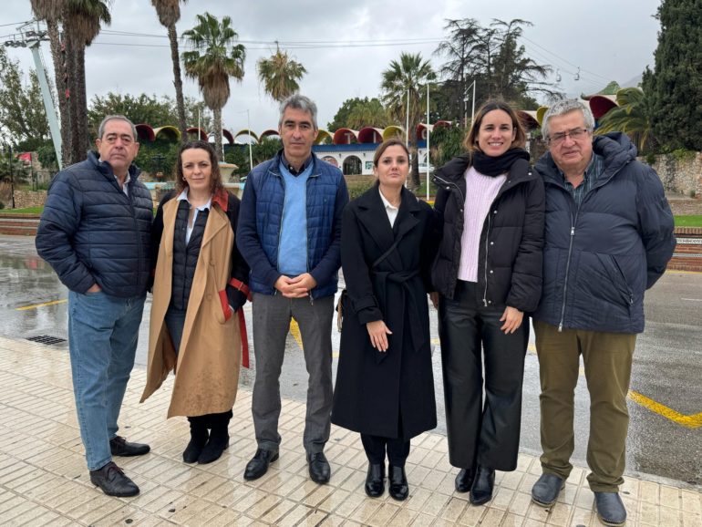 PSOE Benalmadena 20250306