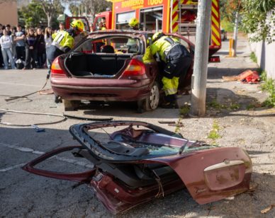 Seguridad MArzo 2026