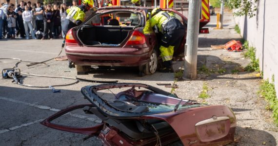 Seguridad MArzo 2026