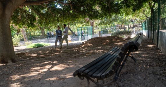 Parque Canino La Paloma 2026
