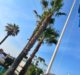 Bandera Azul torremolinos 2026