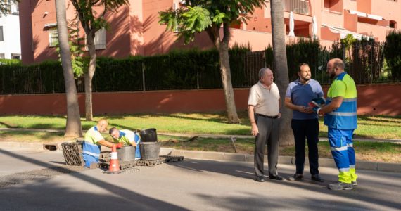 Campaña IM