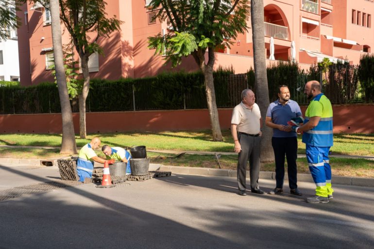 Campaña IM