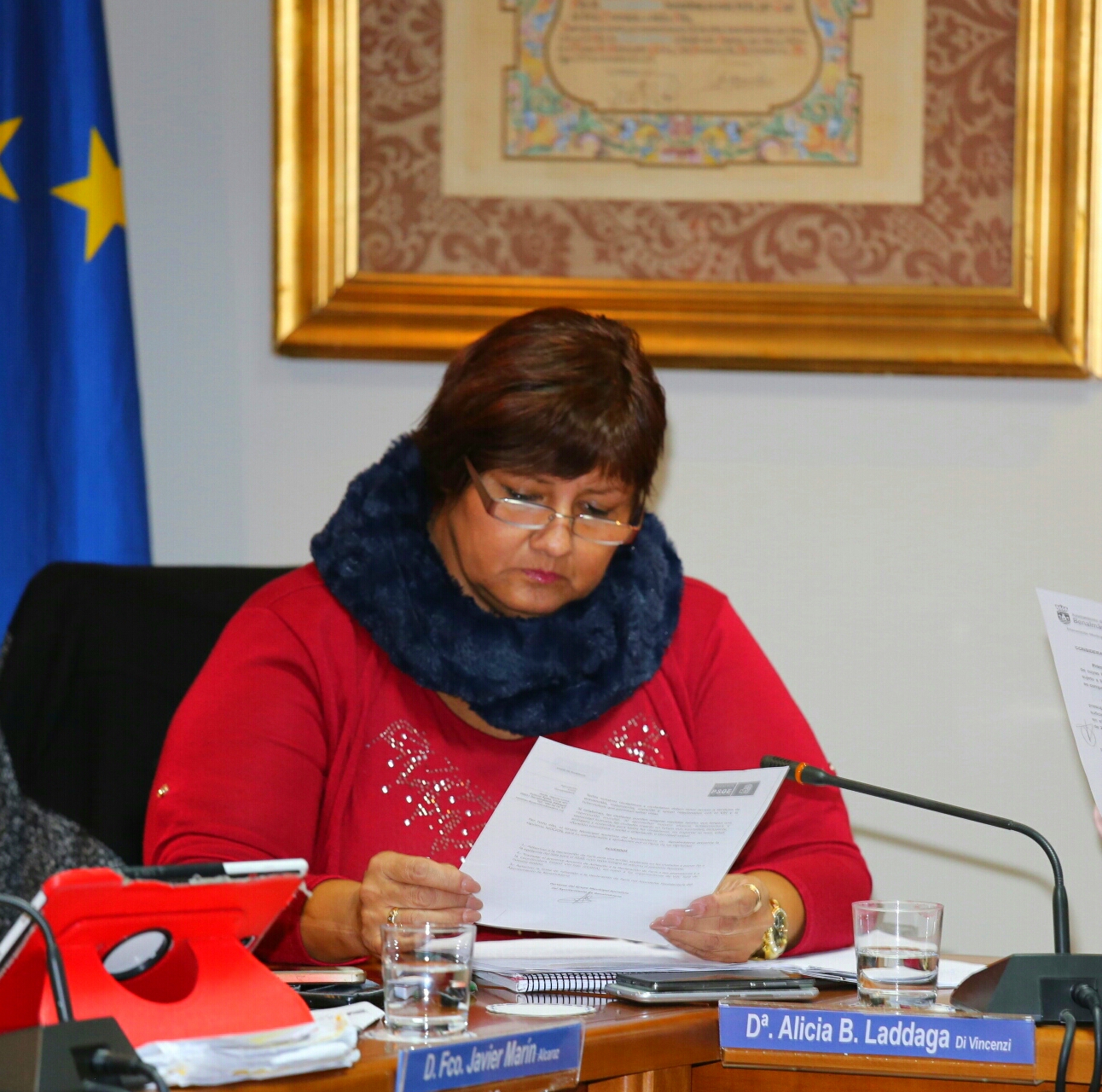 20161222 Pleno Ayuntamiento Benalmadena (16)