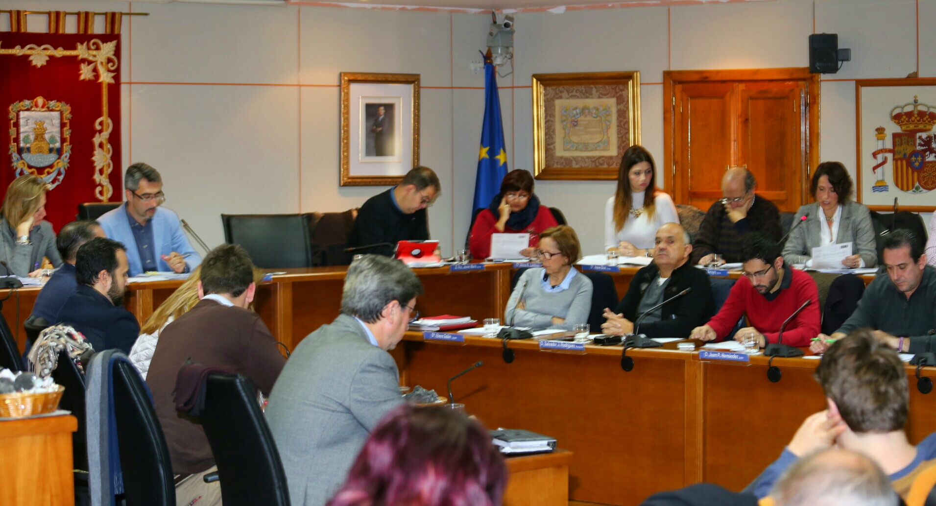 20161222 Pleno Ayuntamiento Benalmadena (19)