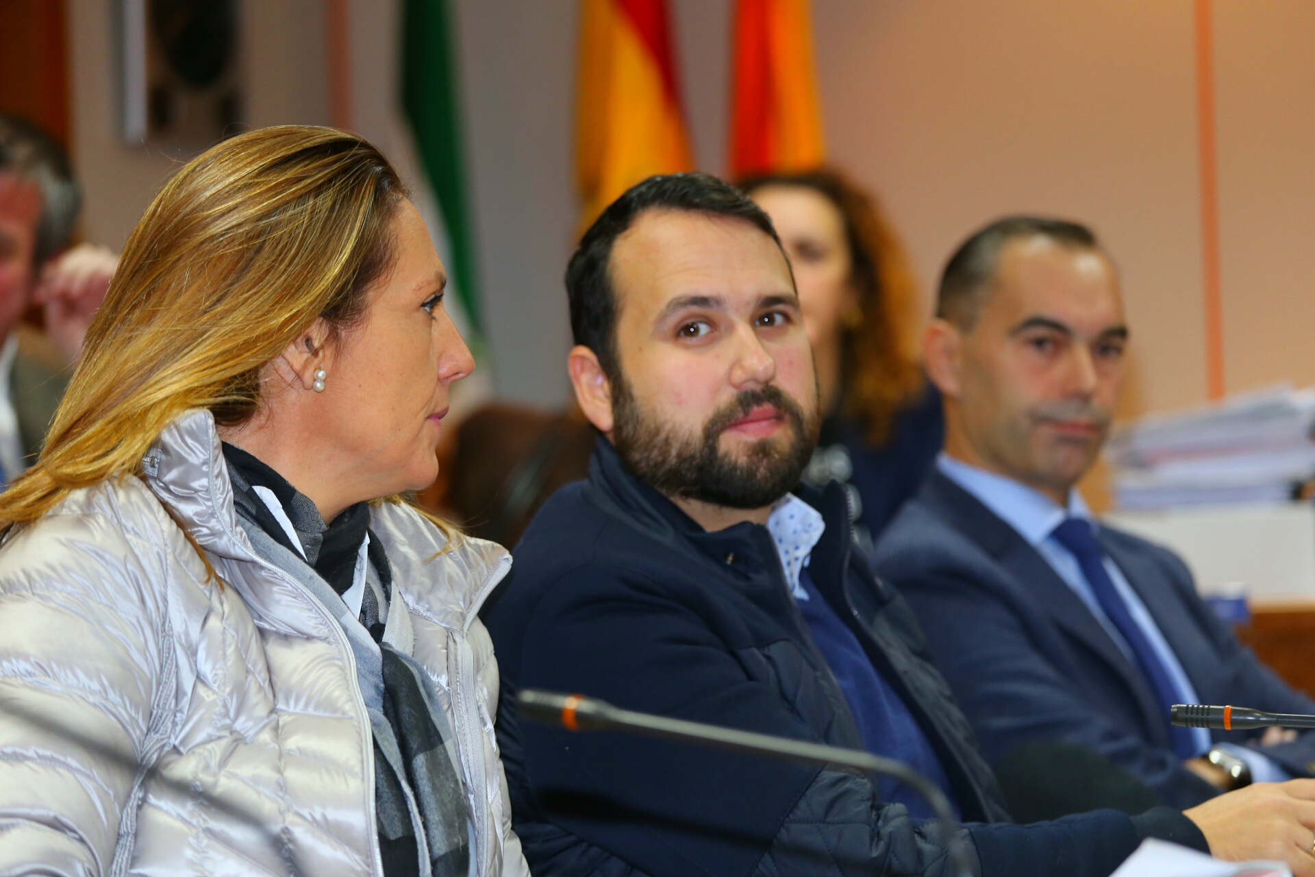 20161222 Pleno Ayuntamiento Benalmadena (8)