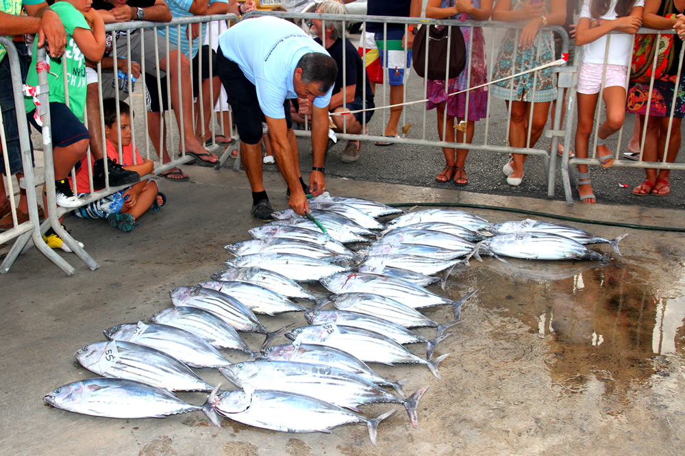 20120818 TORNEO PESCA ALTURA BENALMADENA (17)