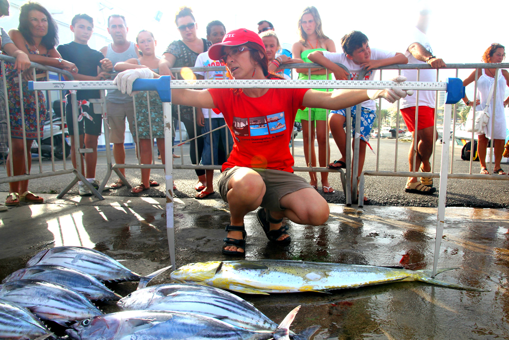 20120818 TORNEO PESCA ALTURA BENALMADENA (48)