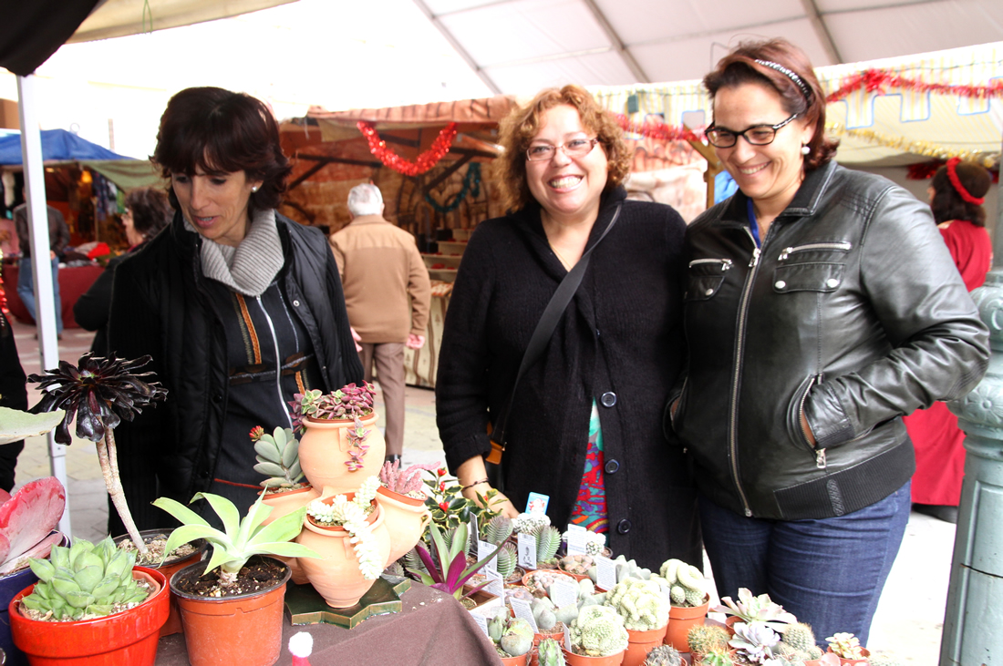 20121212 Mercadillo Navidad