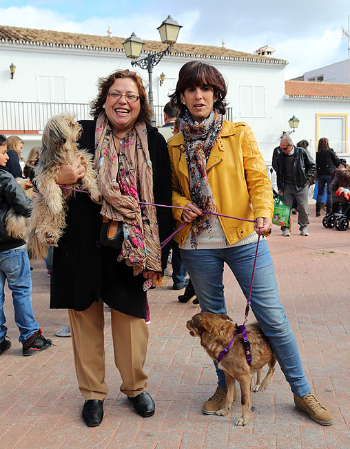 CELEBRACION SAN ANTON EN BENALMADENA 6