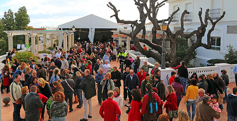 CELEBRACION SAN ANTON EN BENALMADENA 8