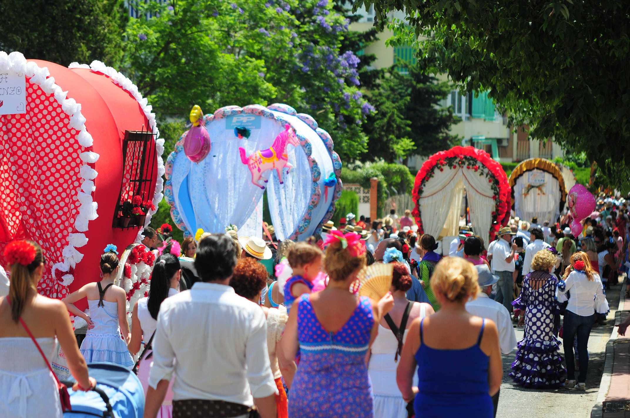 romeria san juan 2013