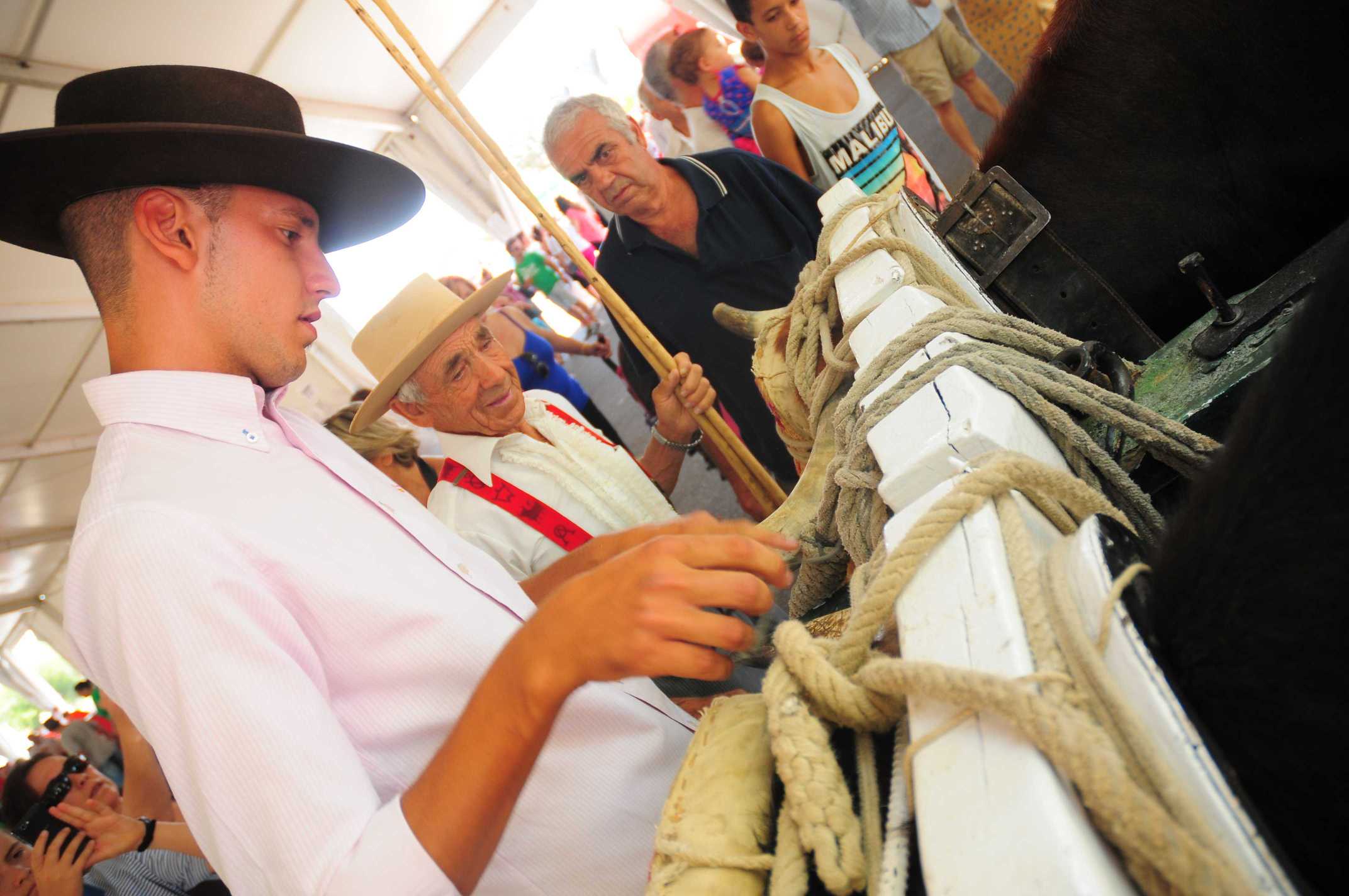 romeria san juan 2013