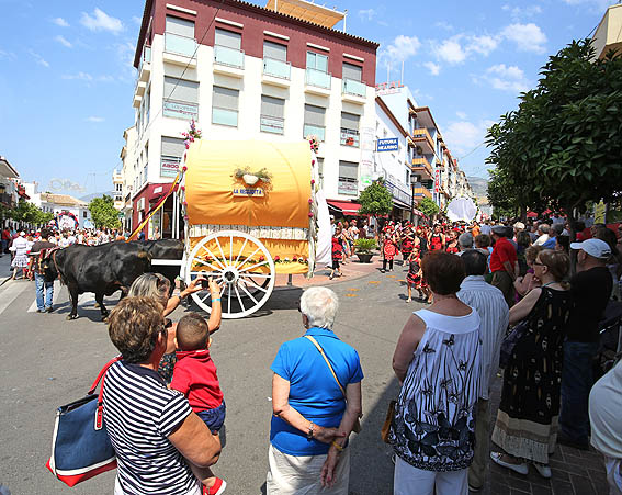 ROMERIA SAN JUAN 2014 22