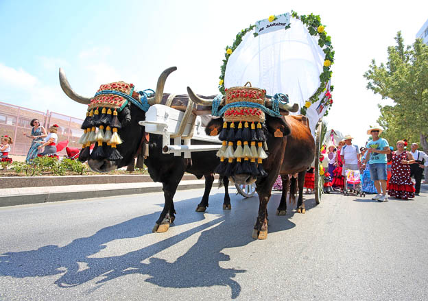 ROMERIA SAN JUAN 2014 47