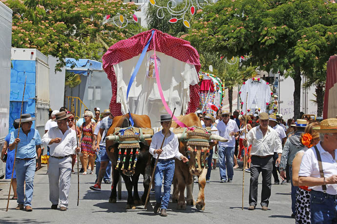 ROMERIA SAN JUAN 2015 13