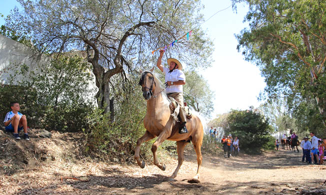 ROMERIA VIRGEN DE LA CRUZ BENALMADENA PUEBLO 75