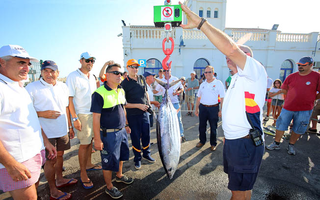 XXI TORNEO PESCA ALTURA 2014 EN PUERTO DEPORTIVO BENALMADENA 10