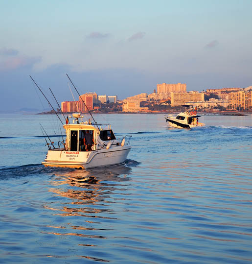 XXI TORNEO PESCA ALTURA 2014 EN PUERTO DEPORTIVO BENALMADENA 13