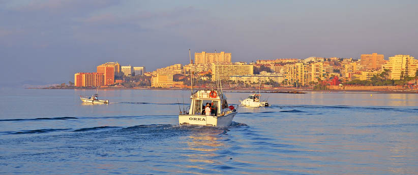 XXI TORNEO PESCA ALTURA 2014 EN PUERTO DEPORTIVO BENALMADENA 14