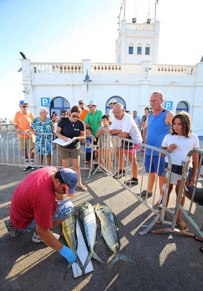 XXI TORNEO PESCA ALTURA 2014 EN PUERTO DEPORTIVO BENALMADENA 9