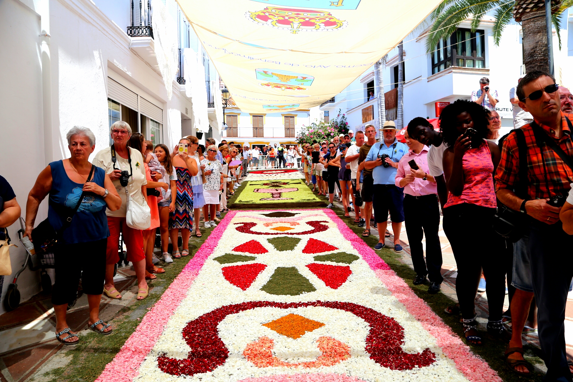 Corpus Christi 2017 (8)