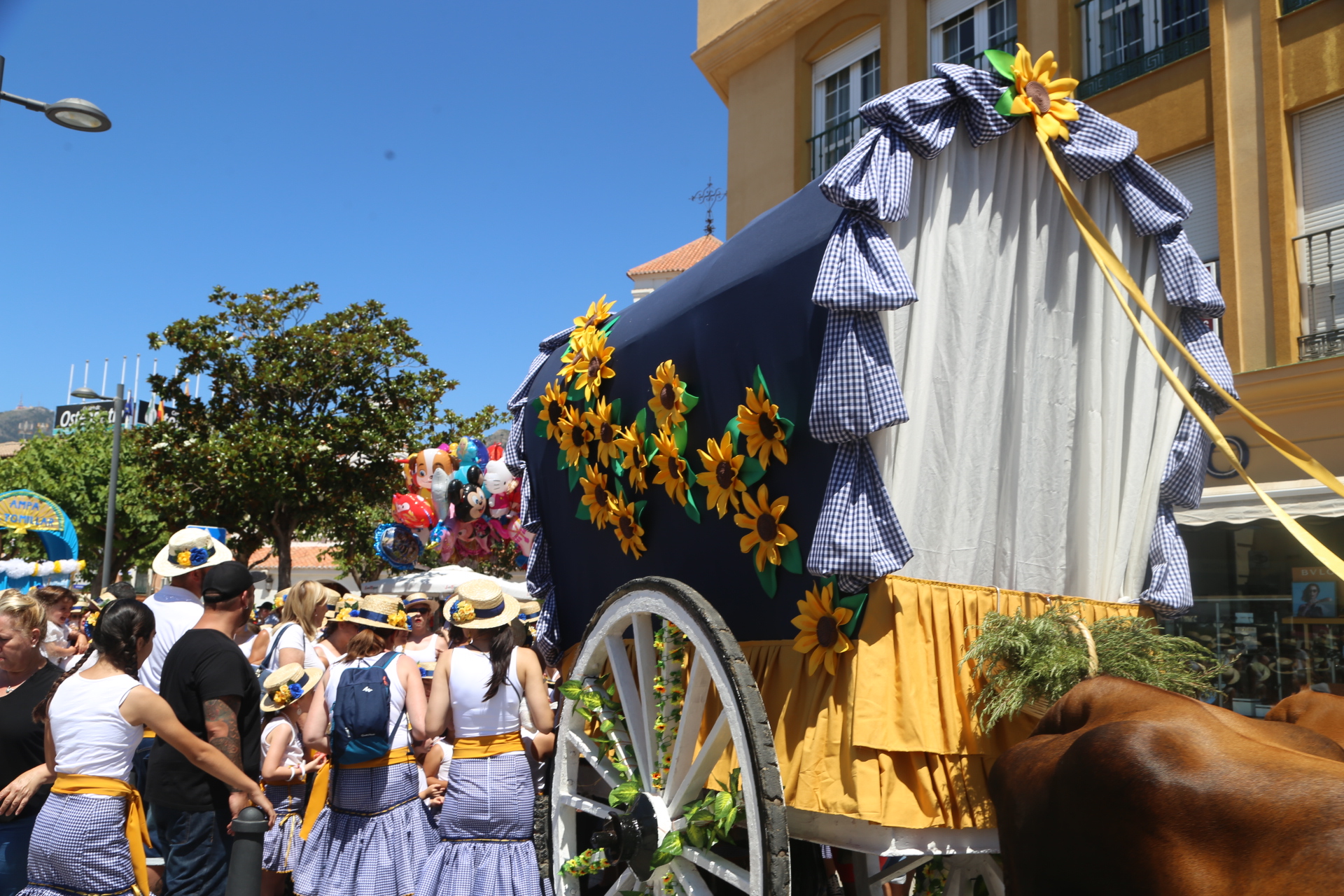 20180617 Romeria San Juan 2018 (194)