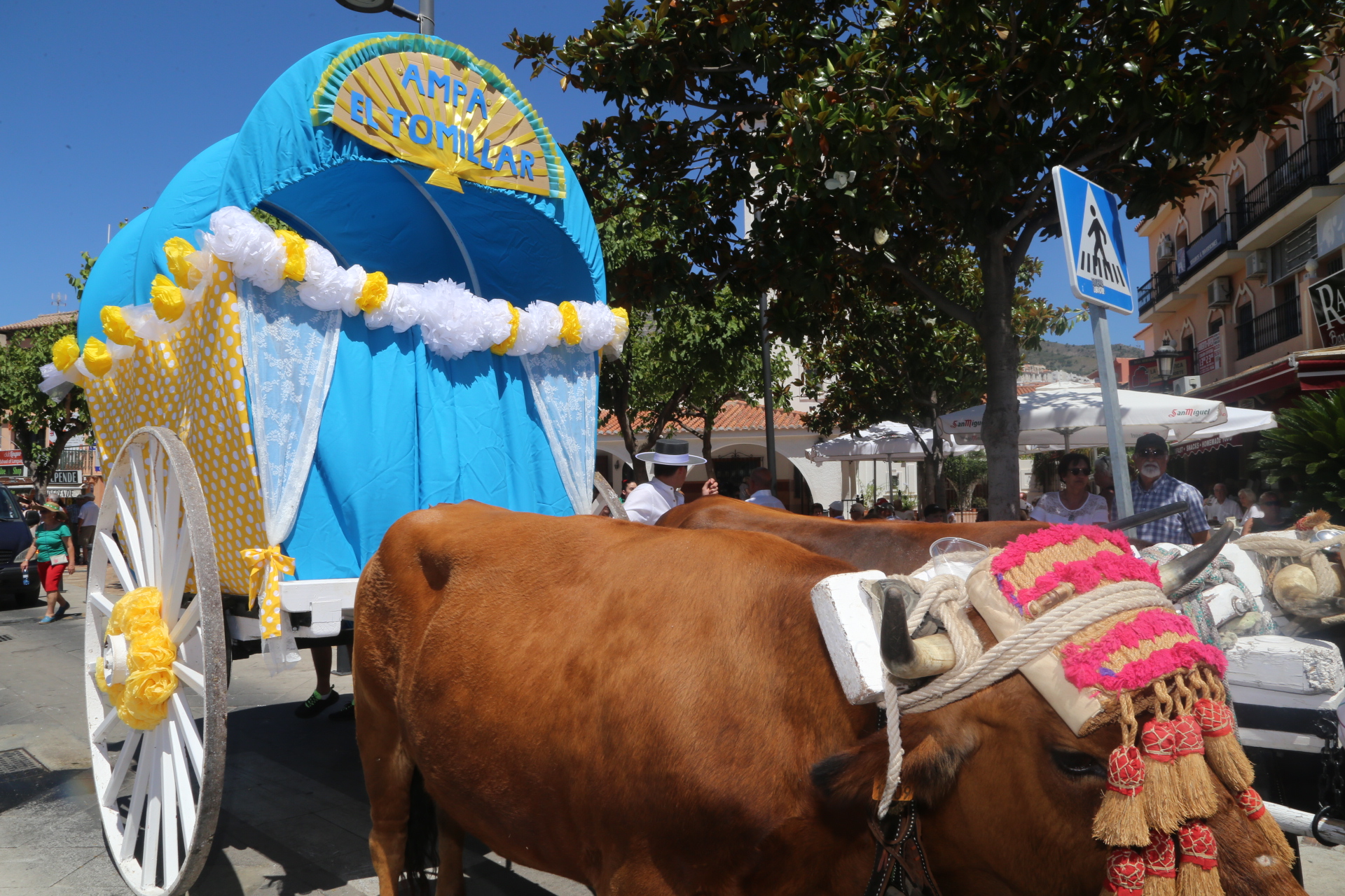 20180617 Romeria San Juan 2018 (195)