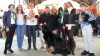 20130217 Fiesta solidaria perros (4) 20130217 Fiesta solidaria perros (4)