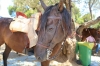 20160807 ROMERIA BENALMADNEA PUEBLO (214)