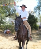20160807 ROMERIA BENALMADNEA PUEBLO (255) 20160807 ROMERIA BENALMADNEA PUEBLO (255)