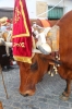 20160807 ROMERIA BENALMADNEA PUEBLO (57) 20160807 ROMERIA BENALMADNEA PUEBLO (57)