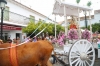 20160807 ROMERIA BENALMADNEA PUEBLO (65) 20160807 ROMERIA BENALMADNEA PUEBLO (65)